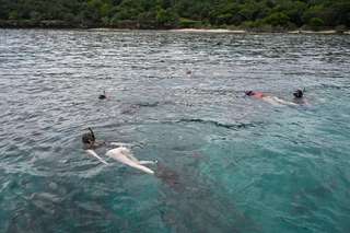 Fun Diving and Snorkeling by Bali Exotic Travel