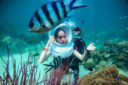 Seawalking, Four-Island Excursion & Cable Car Ride in Phu Quoc - Day Tour by Namaste, SGD 140
