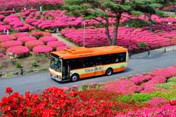 Tokai Bus Free Ticket Ito & Izukogen 2-Day Pass in Shizuoka | Japan, Rp 187.265