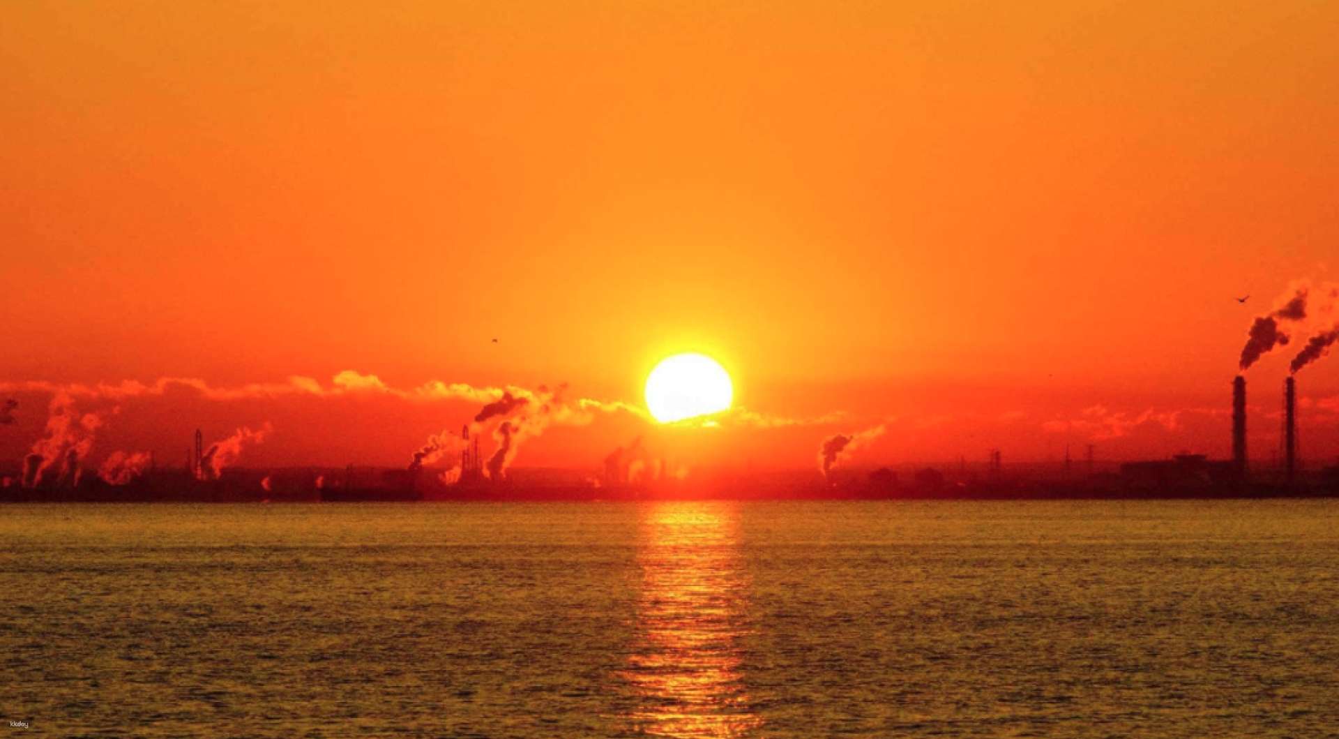 Buy First Sunrise 2024 Book a cruise to view planes and Red Fuji