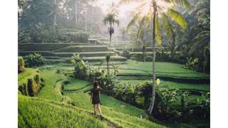 3D2N Tour Package, ₱ 2,978.88