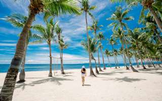 Fun in the Island: Oceanica Resort Panglao Day Use with South Farm Access | Philippines