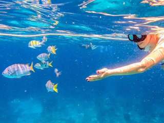 Phuket Raya and Coral Island Tour by Speedboat - 1 Day, Rp 998.374