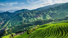 Private Day Tour to Longji Rice Terraced Fields and Minority Villages