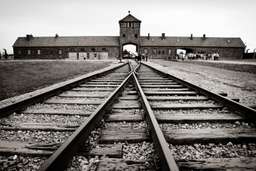 Auschwitz-Birkenau + Wieliczka Salt Mine: Day Trip from Krakow + Free E-Book, USD 27.44