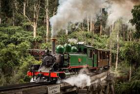 ทัวร์รถไฟ Puffing Billy และสัตว์ป่า ออกเดินทางจากเมลเบิร์น | วิกตอเรีย ออสเตรเลีย