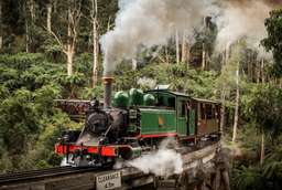 [10% OFF] Puffing Billy & Wildlife Tour from Melbourne | Victoria, USD 111.26