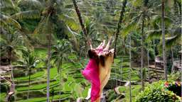 4 Days 3 Nights Tour in Bali By PT Tiket Penida Bali, S$ 206.60