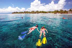 Snorkeling -Glass bottom boat -Pulau Penyu by Bali Best Adventure