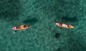  Manly Double Kayak Hire - For 2