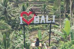 Full Day Trip Package Ubud & Kintamani area by Penidago, USD 10.59