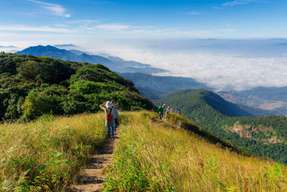 Doi Inthanon National Park Hiking Day Tour from Chiang Mai