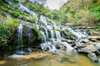 Marvel at the waterfall in the lush green forest