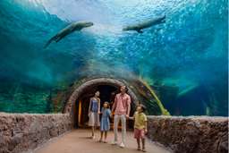 River Wonders Tickets | Mandai Wildlife Reserve, Singapore