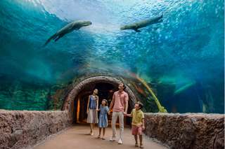 Tiket River Wonders | Mandai Wildlife Reserve, Singapura
