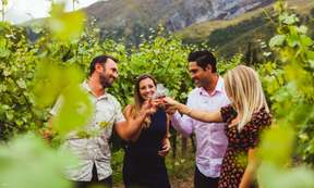 [World Most Southern Wine Region] Queenstown Wine Cave Day Tour | New Zealand