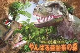 Dino Park Yanbaru Subtropical Forest Admission Ticket in Okinawa | Japan, AU$10