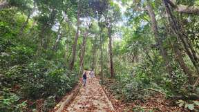 Hiking Experience Tour in Con Dao National Park