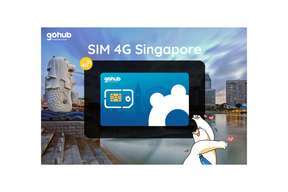 Singapore 4G SIM Card by Gohub - Pickup/Delivery in Vietnam