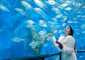 Shanghai Ocean Aquarium Ticket