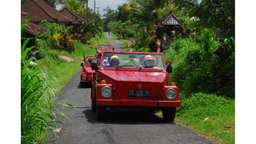 VW Safari - Becak Ride - Bedugul & Jatiluwih, VND 1.568.873