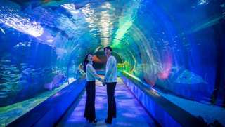 SEA LIFE Busan Aquarium, RM 83