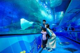 SEA LIFE Busan Aquarium with Lotte Duty Free Discount Voucher, Rp 362.645
