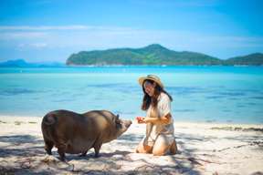 Private Longtail Boat Tour to Koh Mat Sum (Pig Island) (From Koh Samui) - 4 Hours