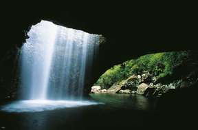 Natural Bridge & Springbrook Waterfalls Half Day Tour | Gold Coast