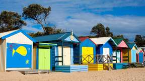 [Eco Tour] Phillip Island Wildlife & Brighton Beach Boxes Private Tour | Victoria