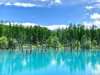 From April 1st and November 30th, travel to Biei Blue Pond (30 minutes)