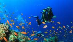 Snorkeling Tour Pantai Blue Lagoon , RM 101.40