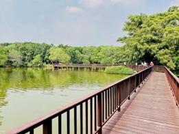 【サイクリングツアー】バーン・カチャオの癒しの森&バンコク市内午前半日観光(英語ガイド・自転車無料レンタル付き) 5