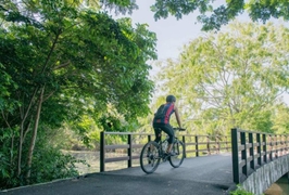 【サイクリングツアー】バーン・カチャオの癒しの森&バンコク市内午前半日観光(英語ガイド・自転車無料レンタル付き) 2