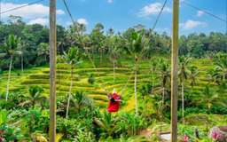 Complete 7 day 6 night economical package in Bali, THB 9,243.60