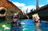 Enjoy a fully guided snorkeling tour and explore the marine life and coral of the Tangalooma Wrecks