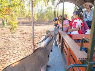 Safari Cafe Phan Thiet Tickets