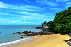 Cape Tribulation Day Tour from Cairns