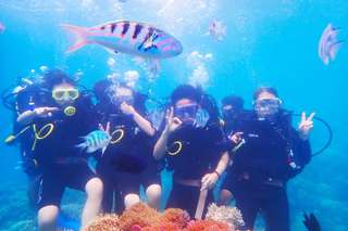 Lặn ống thở khám phá đại đương tại Nha Trang - Tour 1 ngày , 550.000 VND