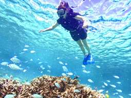 Miyakojima Tropical Snorkeling Tour | Okinawa