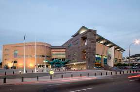 Te Papa Museum Admission in Wellington