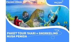 Half Day Nusa Penida Tour + Snorkeling [manta and turtle] by Purnama Jaya Tour, ₱ 2,118.30