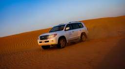 Standard Evening Desert Safari Tour from Dubai with BBQ Dinner, USD 33.97
