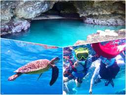 Blue Cave Half-Day Tour & Snorkeling Experience with Free Transfer Service & Photo Data | Depart from Ishigaki | Japan