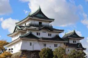 Wakayama Shirahama Day Trip | Toretore Fish Market, Shirahama Coast, Sandanbeki, and Senjojiki | Depart from Namba, Osaka