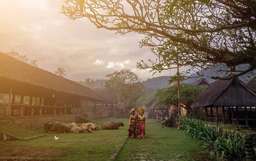 ทริปหนึ่งวันหมู่บ้านเตงกันอัน - พระราชวังน้ำ เทียร์ตา กังกา, THB 834.50