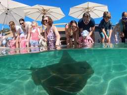 Irukandji Shark & Ray Encounters & Shallows Encounter Admission Ticket | New South Wales