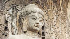 1 Day Private Tour to Luoyang Longmen Grottoes,White Horse Temple and Luoyang Old City