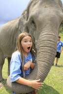 Living Green Elephant Sanctuary