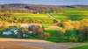 Travel back in time on a trip to the old-fashioned Amish Village